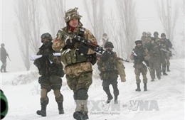 Quân đội Ukraine có thể cạn kiệt đạn dược